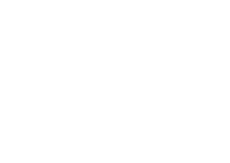 Black Line Motor company